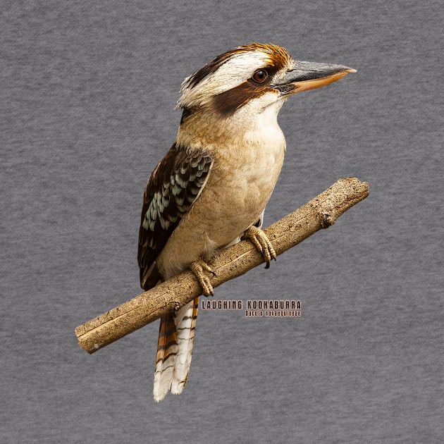 Laughing Kookaburra by seadogprints